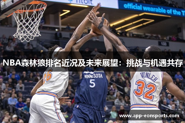 NBA森林狼排名近况及未来展望：挑战与机遇共存